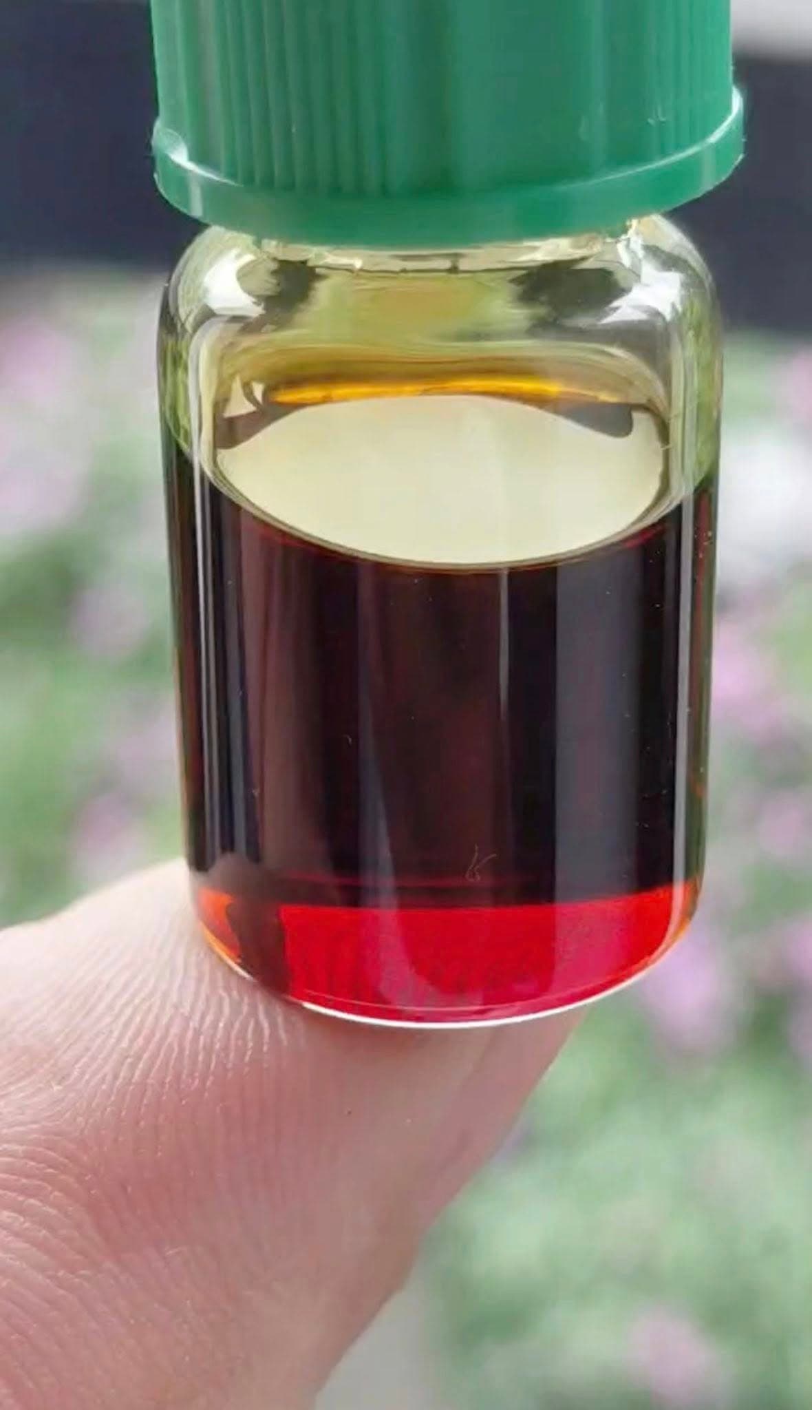 【科学報告 - 第1部】 BIO-OUD 沈香エッセンシャルオイルの品質を解読:微生物技術と SCO2 超臨界抽出の結晶